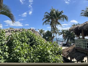 thumbnail: View from room