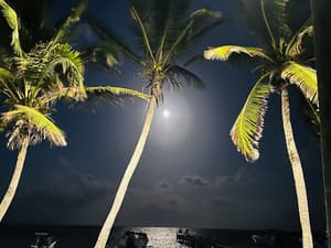 thumbnail: View from property