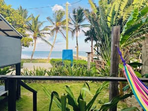 thumbnail: View from room