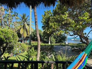 thumbnail: View from room