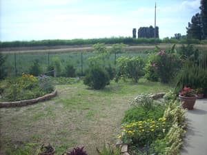 thumbnail: View from room