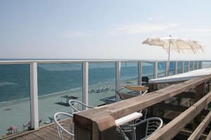 thumbnail: General view