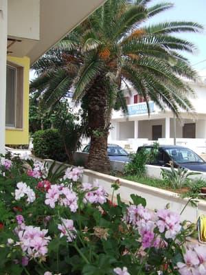 thumbnail: Exterior