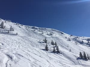 thumbnail: Skiing