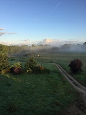 thumbnail: General view