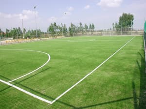 thumbnail: Sports facility