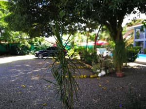 thumbnail: General view