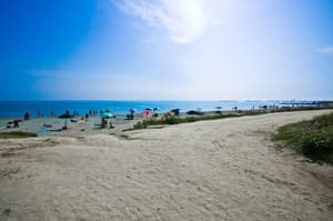 thumbnail: Beach