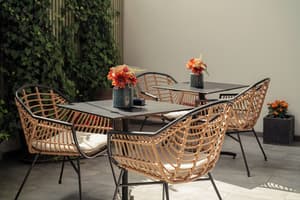 thumbnail: Terrace/patio