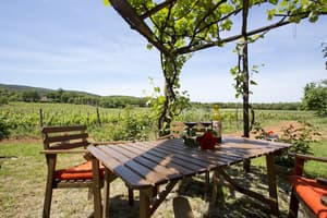 thumbnail: BBQ/picnic area