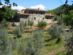 thumbnail: View from property