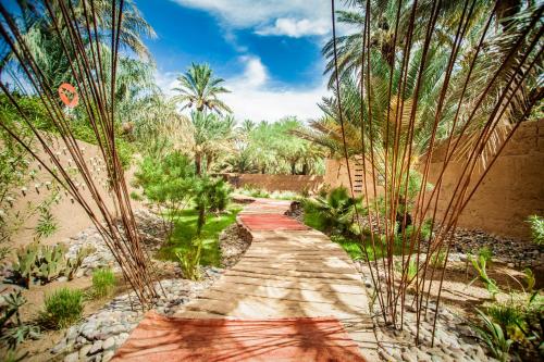 81138466.jpg