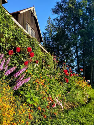 thumbnail: Garden