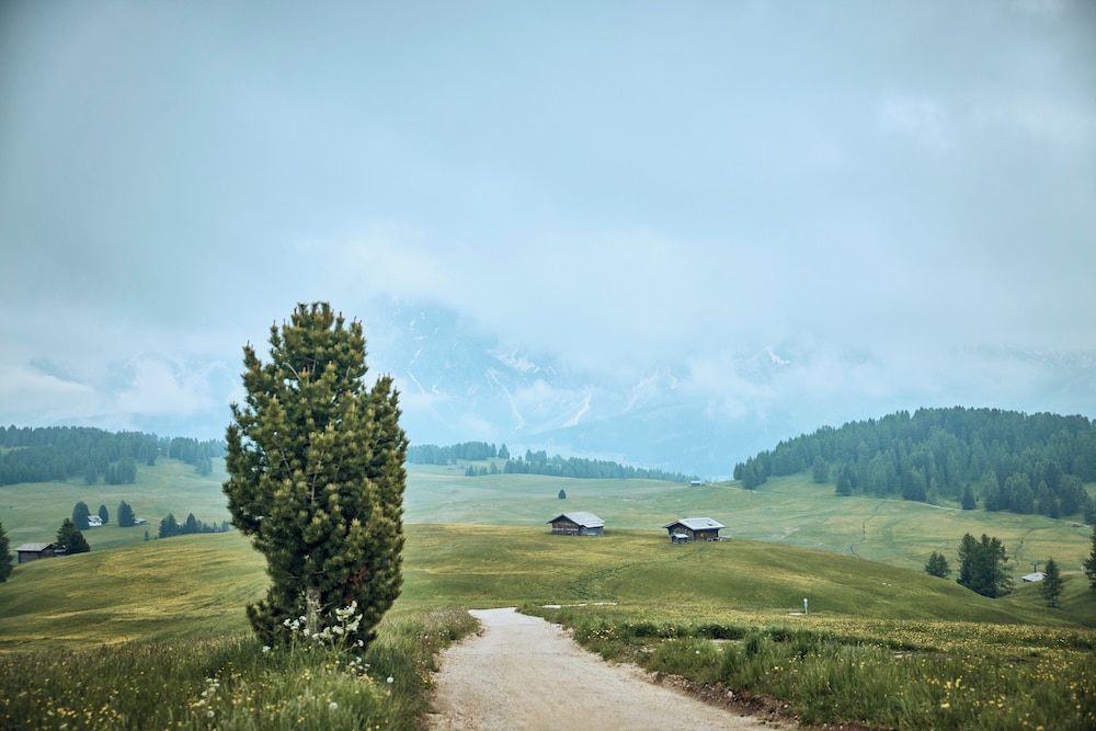 Mountain view