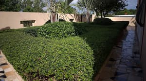 thumbnail: Property grounds