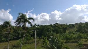 thumbnail: Property grounds