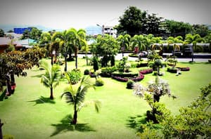 thumbnail: Garden