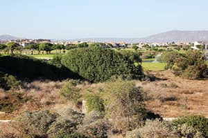 thumbnail: Garden view
