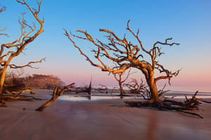 thumbnail: Beach