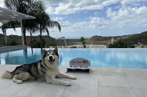 thumbnail: Infinity pool