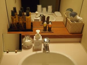 thumbnail: Bathroom amenities