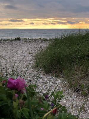 thumbnail: Beach