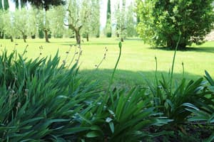 thumbnail: Property grounds