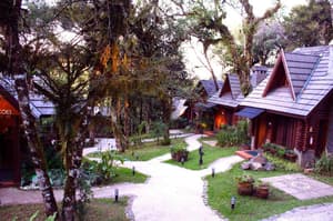 thumbnail: General view