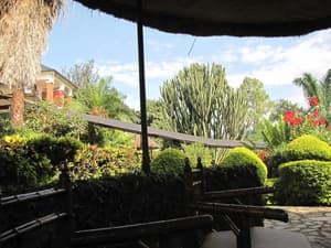 thumbnail: Property grounds
