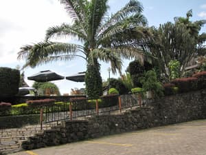 thumbnail: Property grounds
