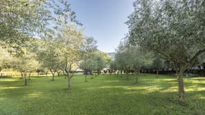 thumbnail: Garden