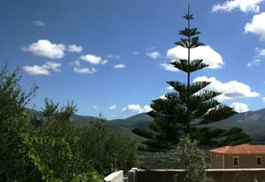 thumbnail: View from property