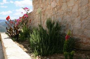 thumbnail: Exterior