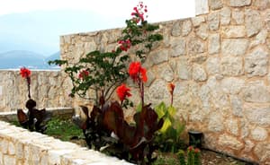 thumbnail: Garden
