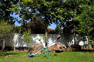 thumbnail: Property grounds