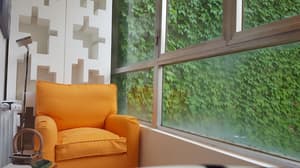 thumbnail: Living area