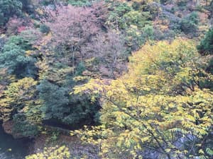 thumbnail: View from property