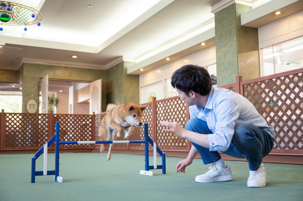 Pet-friendly amenities