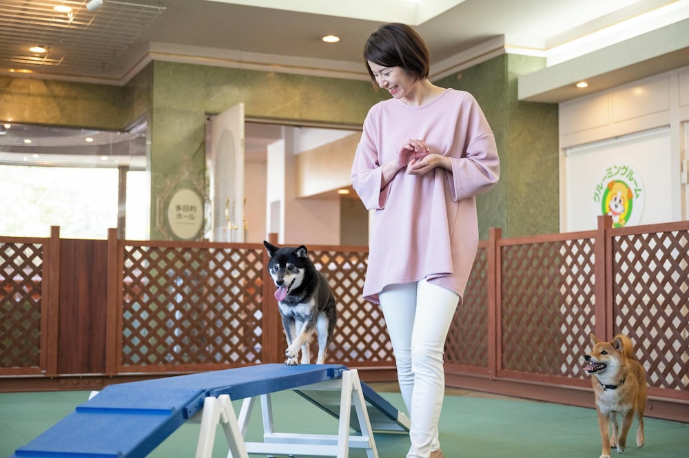 Pet-friendly amenities