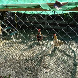 thumbnail: Property grounds