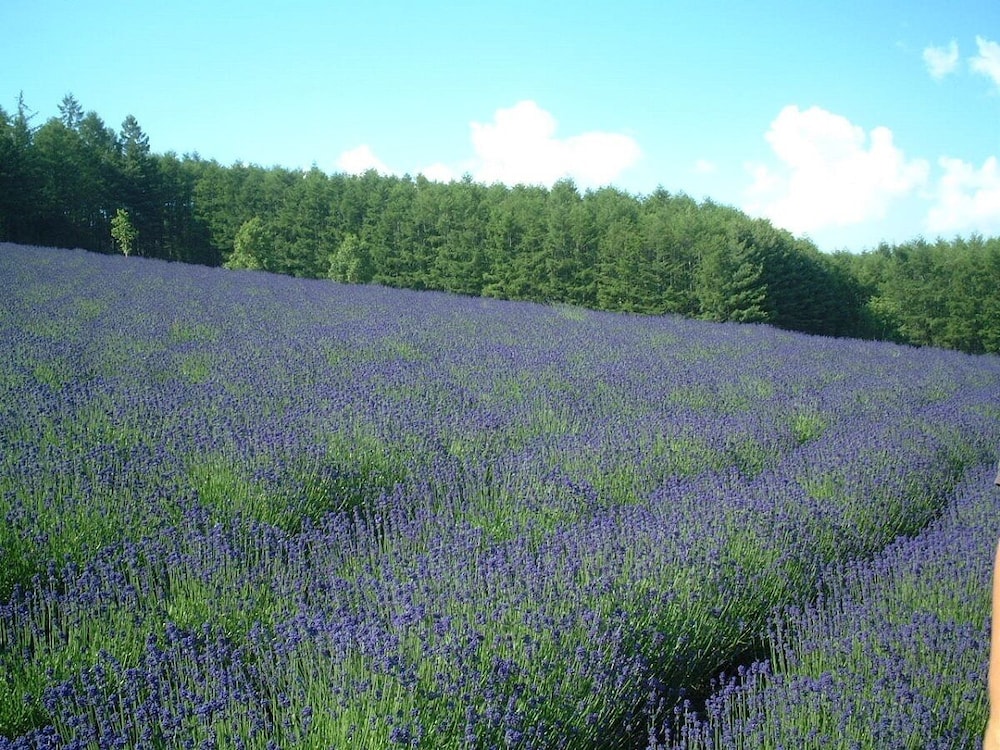 Land view from property