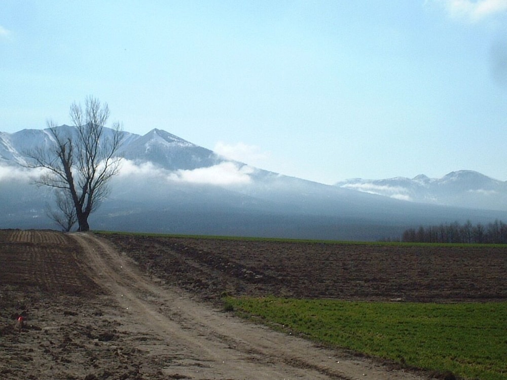 Land view from property