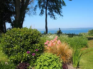 thumbnail: Garden view