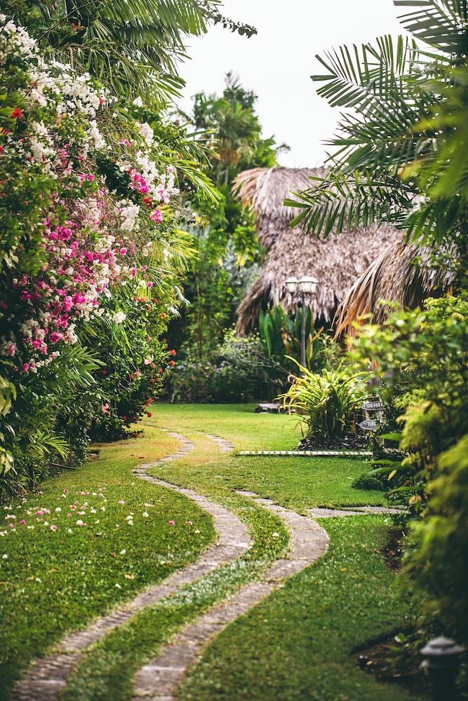 Surroundings
