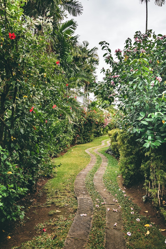 Surroundings