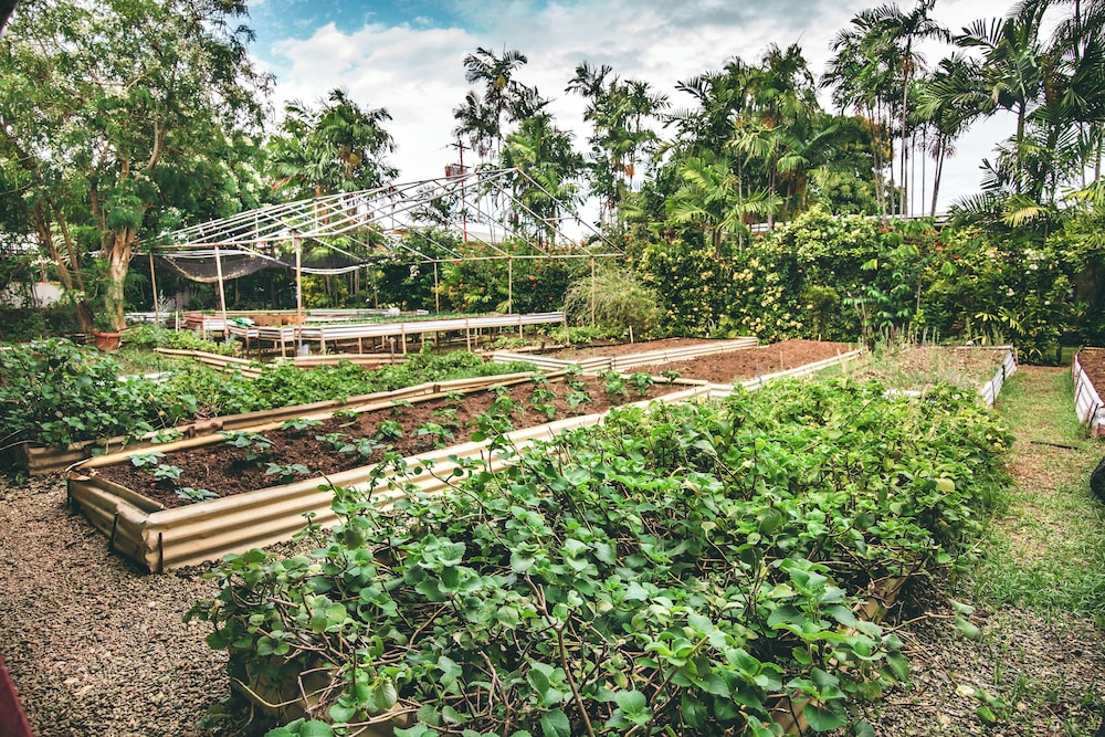Surroundings