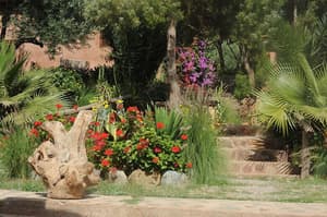thumbnail: Garden