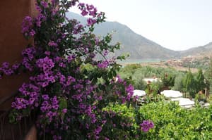 thumbnail: Garden
