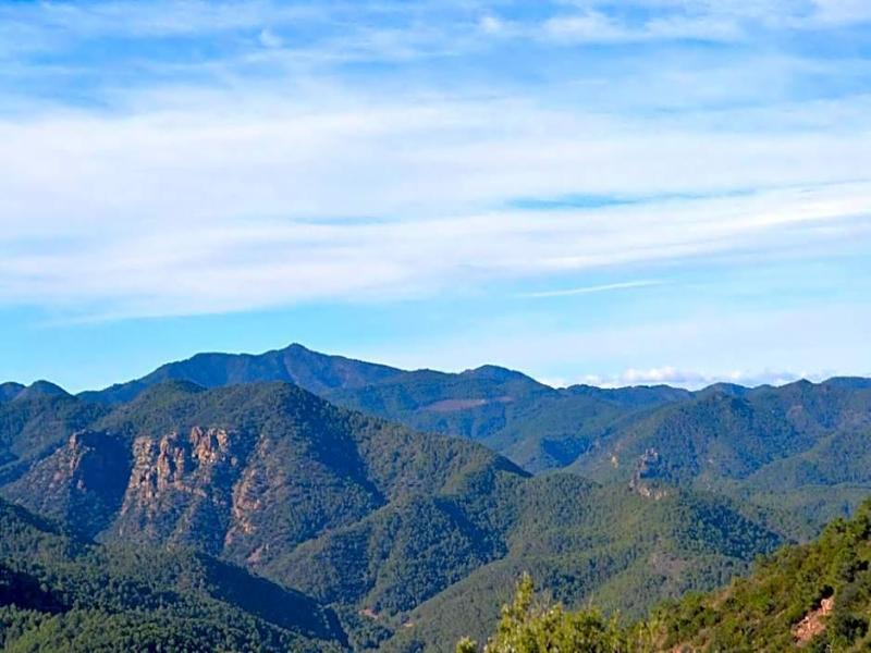General view