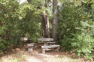 thumbnail: Property grounds